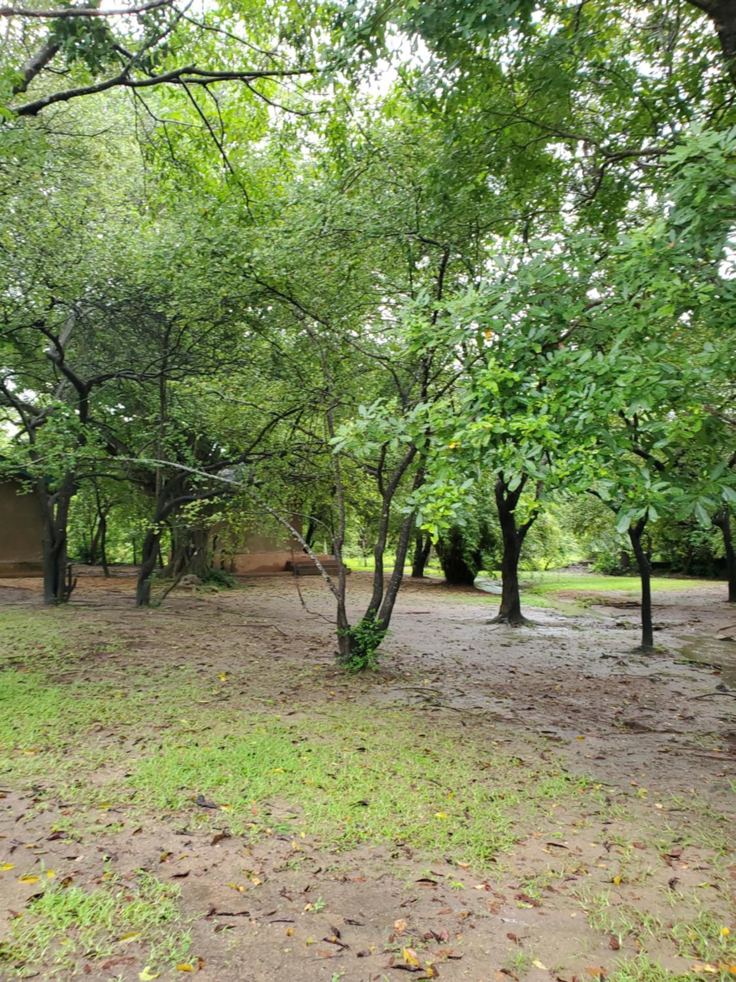 Clay Hut Village Cidade Antiga de Polonnaruva Exterior foto