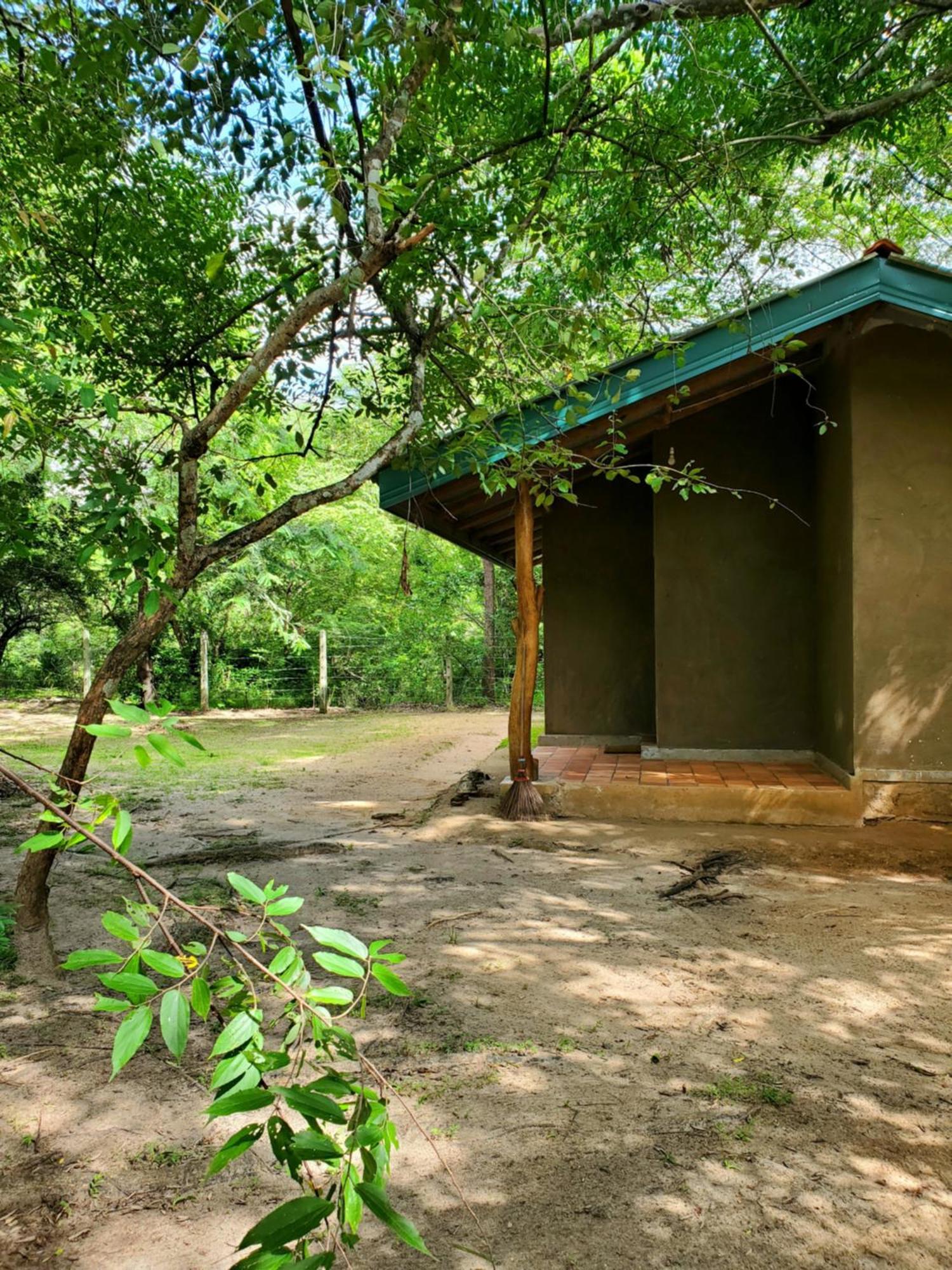 Clay Hut Village Cidade Antiga de Polonnaruva Exterior foto